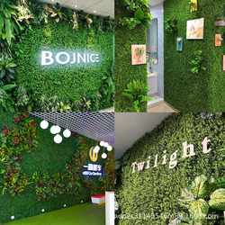 Simulated green plant wall, artificial bionic flowers, decorative internet celebrity image, landscaping background lawn