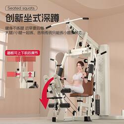 Comprehensive Training Machine, Single-Station Exercise Equipment, Home-Use High-Pull Fitness Equipment, Multi-Functional Large Strength Combination Machine