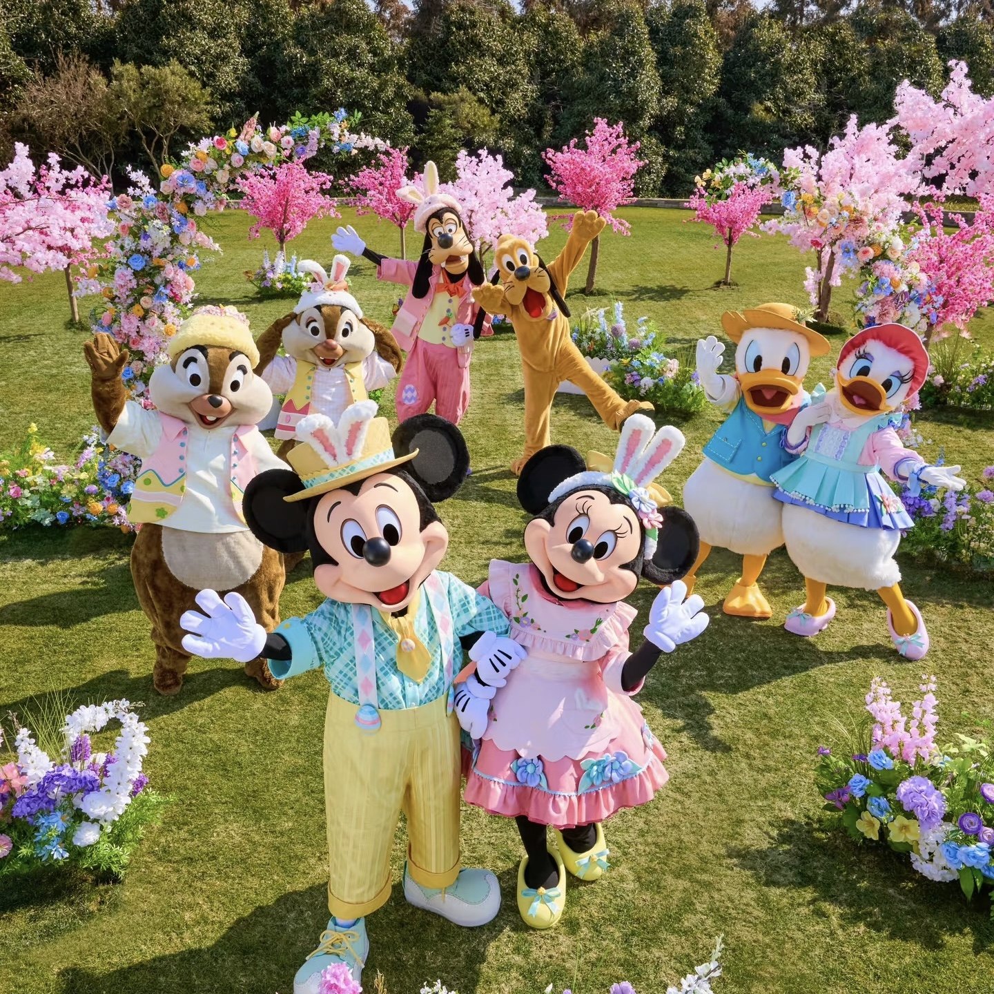 【私家团】上海迪士尼3天2晚|专车出行