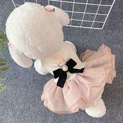 Dog Pet Clothes Pet Cat Teddy Pomeranian Small Cute Princess Bichon Puppy Skirt Traction