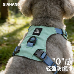 Dog Harness Vest-Style Lightweight Anti-Escape Outdoor Leash for Small and Medium-Sized Dogs, Pet Leash for Poodles and Corgis