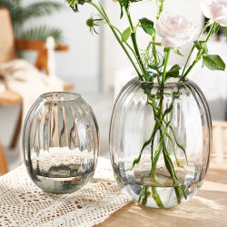 Hydroponic plants fresh-cut internet celebrity glass vase ornaments light luxury glass transparent water-raised flowers table decoration flower arrangement