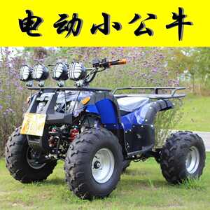 Beach car four-wheel electric vehicle four-wheel off-road vehicle 48V-72V shaft transmission electric mountain vehicle