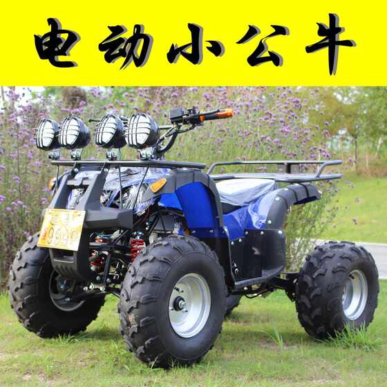 Beach car four-wheel electric vehicle four-wheel off-road vehicle 48V-72V shaft transmission electric mountain vehicle