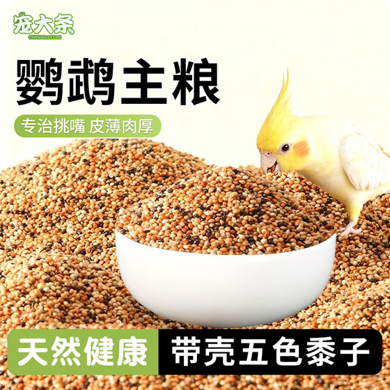 
[Pet Big Strips] Bird Food Five-Colored Millet Tiger Skin Peony Black Phoenix Small and Medium-sized Parrot Bird Food Mixed with Millet Food