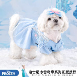 Elsa pet princess tutu skirt Teddy Pomeranian puppy puff sleeve dress spring and autumn cute clothing