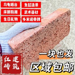 Solid Red Bricks for Garden Paving, Wall Construction, Therapy Bricks, Pavers, Rural House Building, Turtle Basking Platforms, Construction Materials