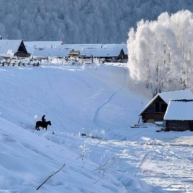 阿勒泰起止6日小团丨新疆旅游北疆喀纳斯禾木白哈巴2-6人含接送机