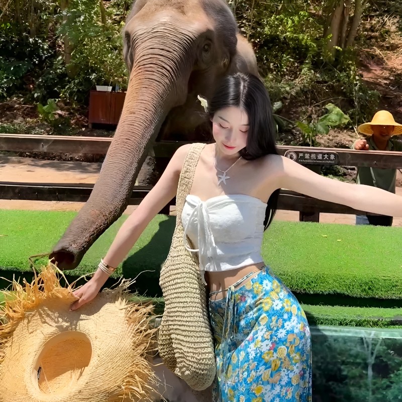 【全国出发】云南西双版纳旅游星光夜市真纯玩2+1车喜来登酒店5天