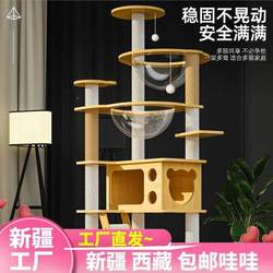 Xinjiang Tibet  Cat Climbing Frame Space Capsule Cat House Cat Tree All-In-One Small Cat Jumping Platform Large Cat Shelf Special Offer