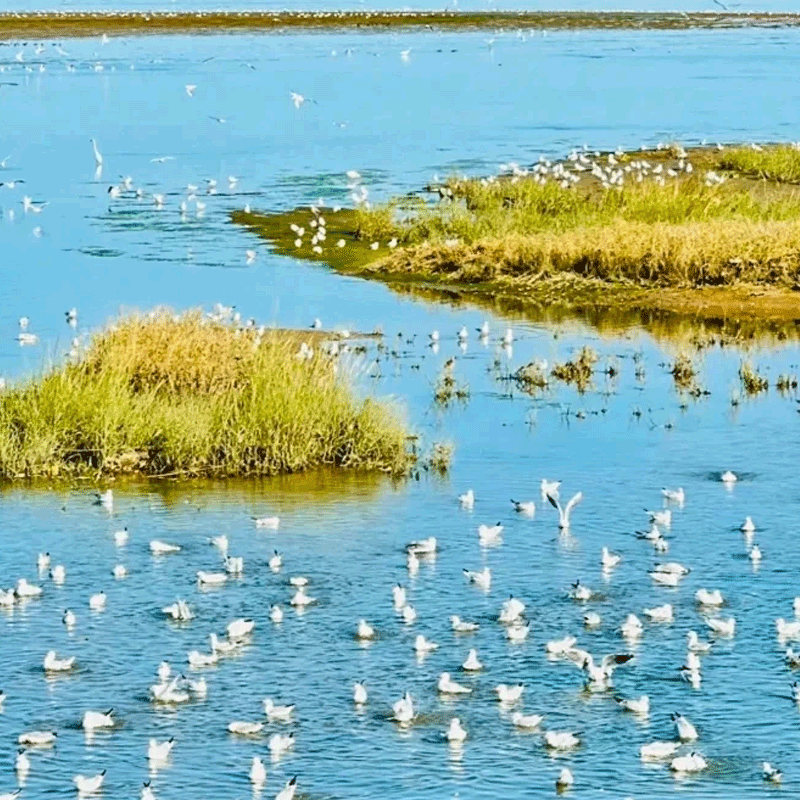 昆明腾冲热海公园一寨两国和顺古镇滇西抗战纪念馆6日游