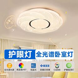 Led Ceiling Light, Bedroom Light, Simple Modern Living Room Light, Main Light, New Led Kitchen, Dining Room, Balcony, Aisle Lighting Fixtures