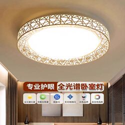 Led Ceiling Light, Bedroom Light, Simple Modern Living Room Light, Main Light, New Led Kitchen, Dining Room, Balcony, Aisle Lighting Fixtures