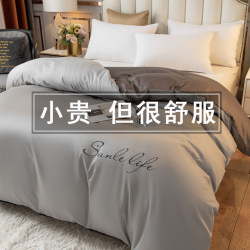 Quilt cover plus quilt core complete set of two-piece summer quilt men's set all-in-one spring quilt double bedding set 2