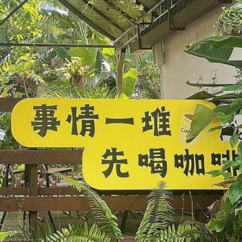 4天3晚万宁市私家团住宝发胜意+分界洲+专属用车一次被宠坏的旅行