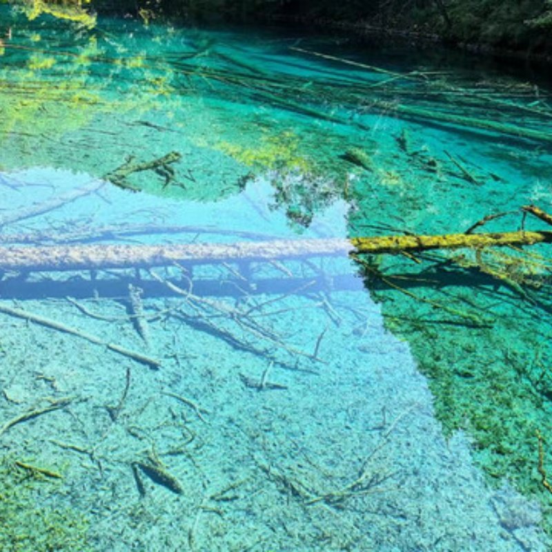 7天6晚成都私家团住蓉逸精品+金沙遗址+专属用车一次被宠坏的旅行