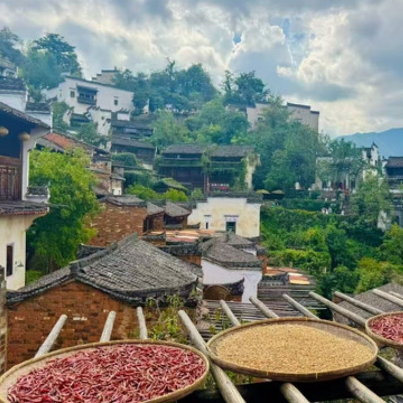 5天4晚南昌市私家团住潮曼+望庐山瀑布+专属用车一次被宠坏的旅行