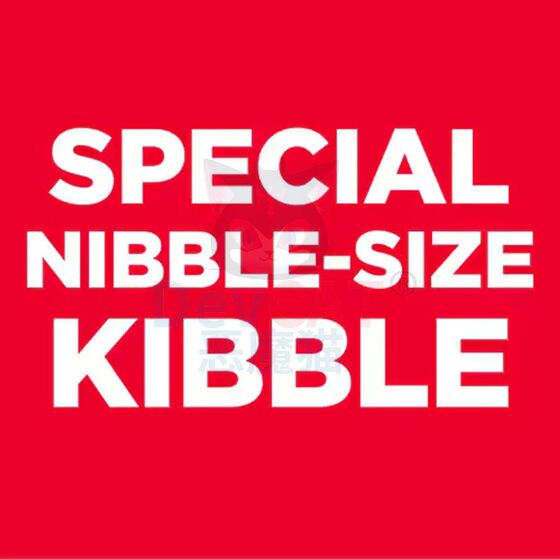 
Devil Cat Hills Hills small dog adult dog food mini dog toy dog food fine grain chicken flavor