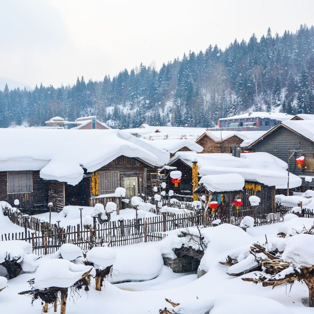 冬韵北境诗篇:从盛京故宫到冰城幻境,七日环游雪国秘境
