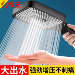 Original Genuine Pressurized Shower Head Bathroom Home Shower Pressurized Bath Heater Faucet Hot Water Bath Shower Set