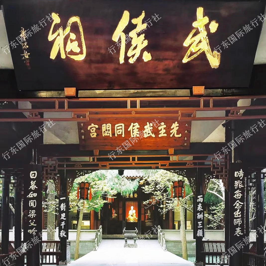 四川成都001 成都大熊猫繁育基地 一日包车游