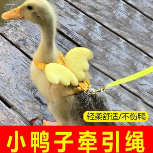 
Special traction rope for little ducks, retractable and anti-breakaway, a magical item for pet Cole ducks, chickens and geese to go out.
