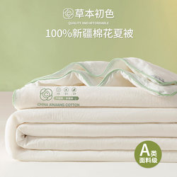 2026 Xinjiang Cotton Quilt, Summer Cooling Quilt, Pure Cotton 100% Cotton Air-Conditioning Quilt, Machine Washable, Thin Summer Quilt Core