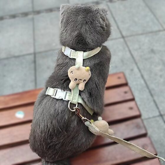 Cat traction rope prevents breaking and going out for special cat walking rope chain artifact I-rope kitten strap pet supplies
