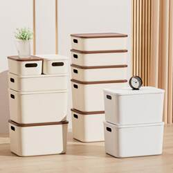 Desktop Storage Box, Snack and Miscellaneous Items Storage Basket, Rectangular Storage Box with Lid, Cosmetics Organizer Box, Plastic Storage Box