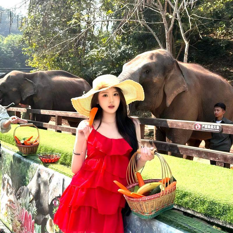 0自费无限制+不限时体验西双版纳野象谷原始森林公园4天3晚跟团游