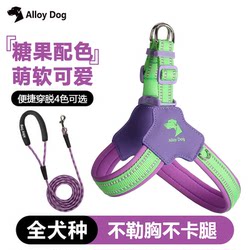 Dog Leash for Walking, Special for Large, Medium and Small Dogs When Going Out, Cute and Good-Looking Y-Shaped Saddle-Style Pet Harness
