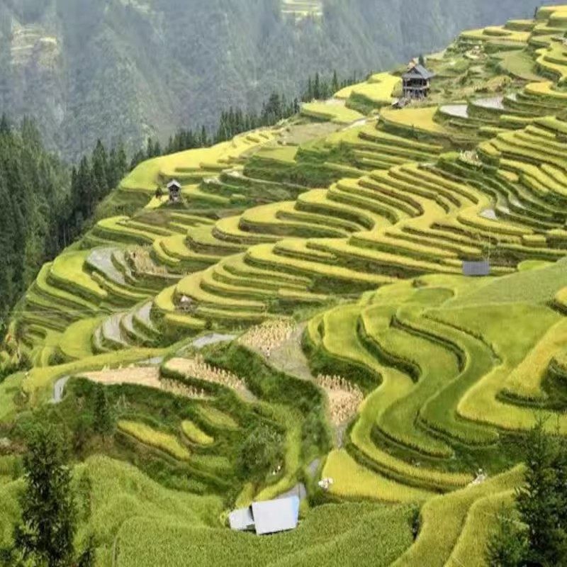 贵州旅游2-6人团4日游 肇兴侗寨大小七孔加榜梯田岜沙苗寨扎染B线