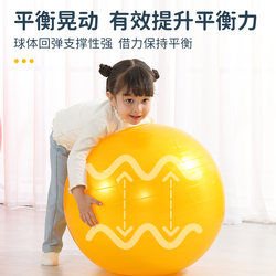 Early education Dalong Ball Sensory Children's Training Equipment Thickened Explosion-proof Kindergarten Balance Home Yoga Massage Toy