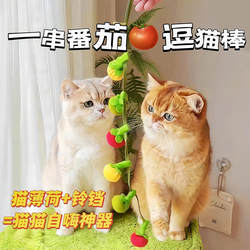 New Tomato Cat Teaser Stick, Bite-Resistant Cat Toy, Cat Supplies, Cat Teaser Ball, Self-Entertainment, Boredom Relief, Cat Toy with Bell