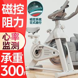 Dynamic Exercise Bike for Home Use, Indoor Gym Bike, Silent Fitness Equipment, Exercise Pedal Bike