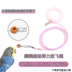 New Silicone Elastic Parrot Release Leash, Ultra-Light Training Bird Walking Rope, Foot Ring for Cockatiels, Lovebirds, and Mynas