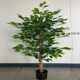 
Factory simulation potted banyan tree, artificial tree, small tree, green plant, landscape gardening, wedding, B&B, home decoration ornaments