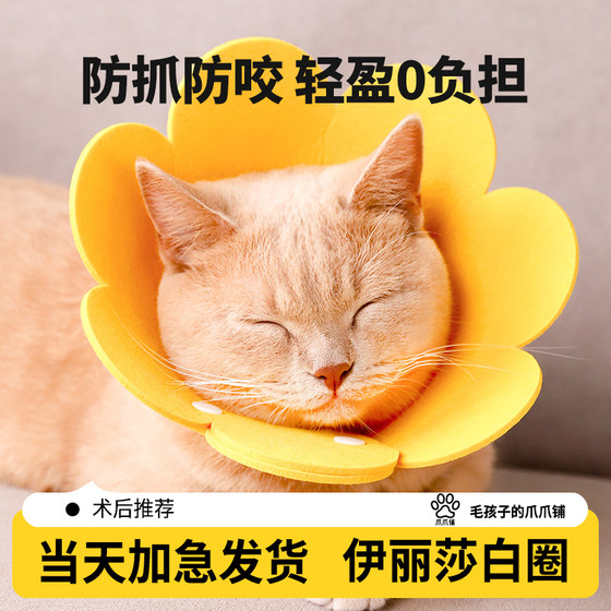 Elizabeth Circle Cat's Nutrition Circle Elisha White Circle Anti -Licking Neck Circle Head Handle Dog Circle Pet Products