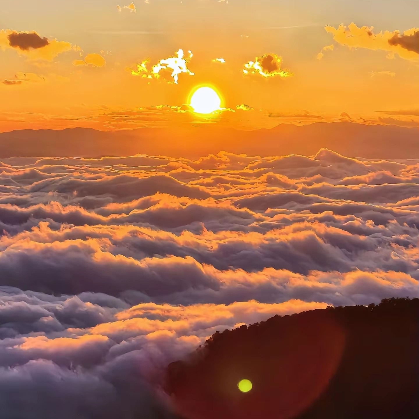 云南旅游哀牢山建水元阳6天纯玩哀牢山原始森林南恩瀑布元阳梯田