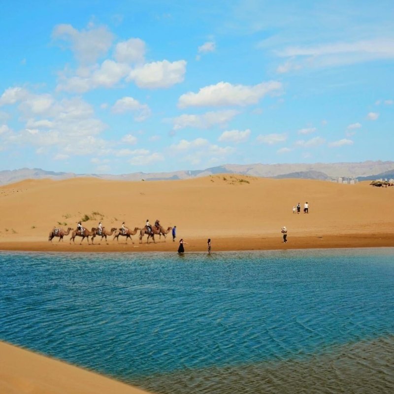 1日游梦幻大峡谷乌海湖【精品小团】0购物0进店