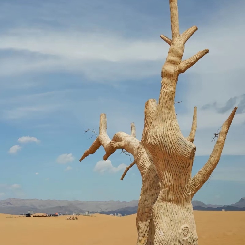 1日游梦幻大峡谷乌海湖【精品小团】0购物0进店