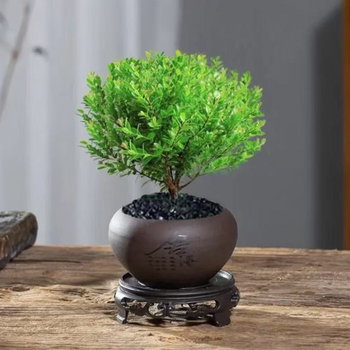 Small-leaf red nan plant bonsai mini desktop indoor flower plant office desk small green plant potted plant