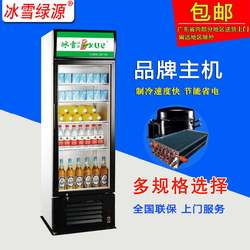 Ice and snow single-door beverage refrigerator commercial refrigerated display cabinet freezer supermarket convenience store freezer commercial fresh-keeping cabinet