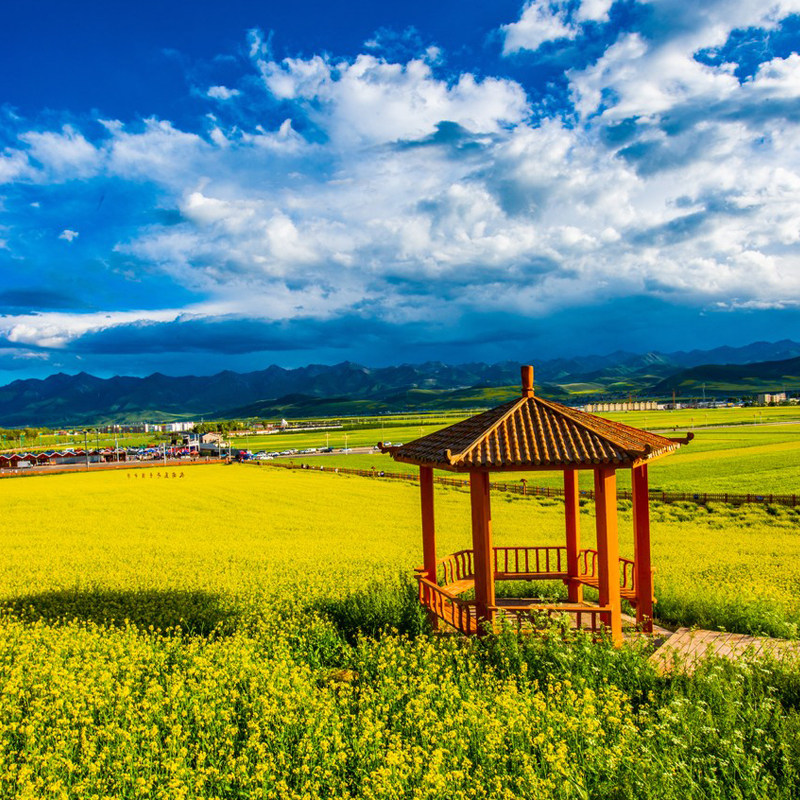 【机票+酒店】青海西宁旅游5天4晚自由行茶卡盐湖青海湖卓尔山