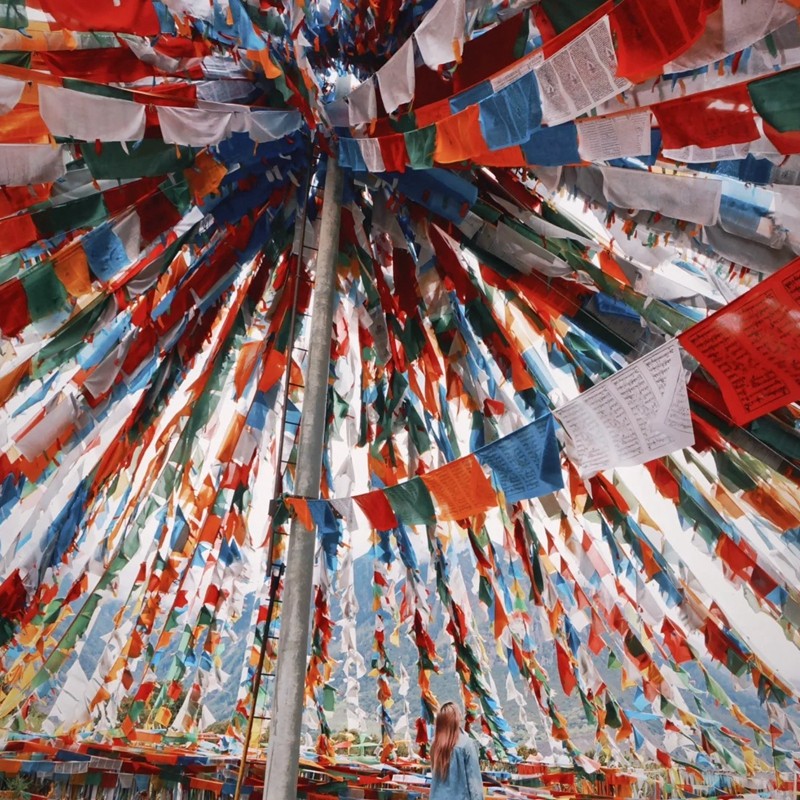 8人纯玩小团 含机票西藏旅游布达拉宫羊湖鲁朗小镇7天6晚跟团游