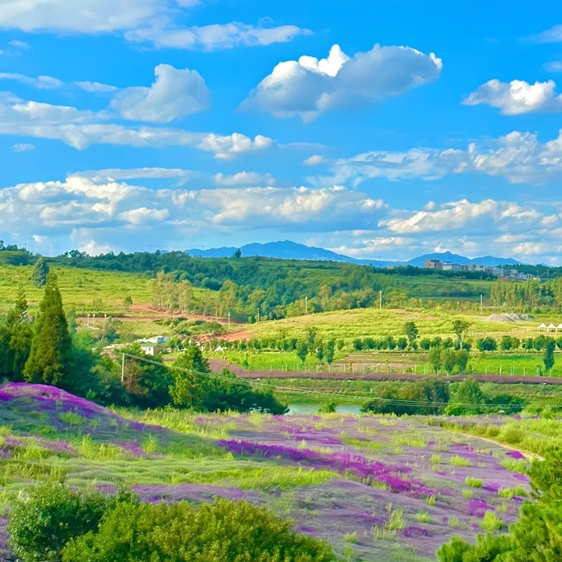 【机票+酒店】云南昆明旅游5天4晚自由行滇池昆明老街石林景区