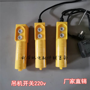 
61D crane switch 220 miniature electric hoist household small crane up and down button switch shaker
