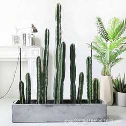 Nordic simulated immortal pillars large floor-standing tropical desert green plant measurement ruler fake cactus potted window decoration