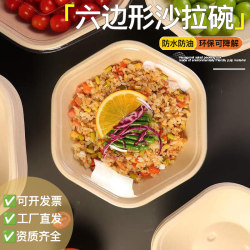 Biodegradable Disposable Lunch Box, Trendy Light Food Takeout Box, Hexagonal Salad Bowl, Hexagonal Bento Box, Paper Bowl Lunch Box