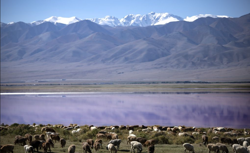 新疆哈密2天+连锁品牌酒店+指定景点+大河古城遗址